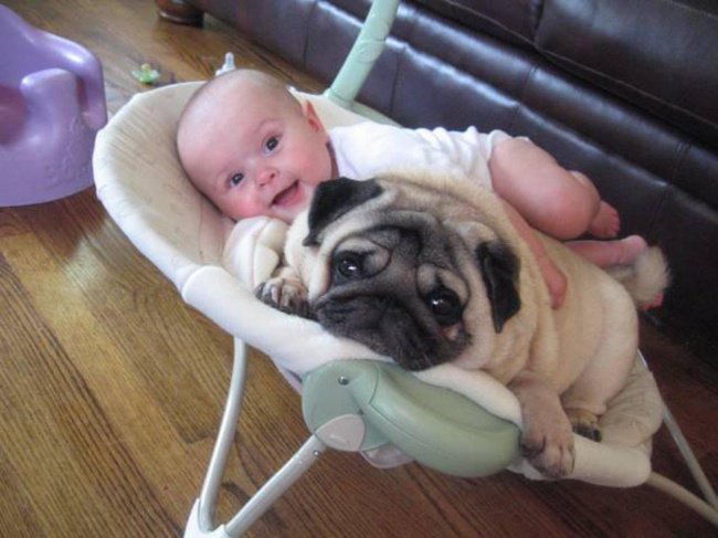 20 αξιολάτρευτες φωτογραφίες που αποδεικνύουν ότι τα μωρά με τα κουτάβια μπορούν να γίνουν πάρα πολύ καλοί φίλοι. - Εικόνα15