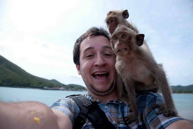 20 ζώα που έχουν βαρεθεί να βλέπουν τους ανθρώπους να τραβάνε Selfie φωτογραφίες. - Εικόνα18