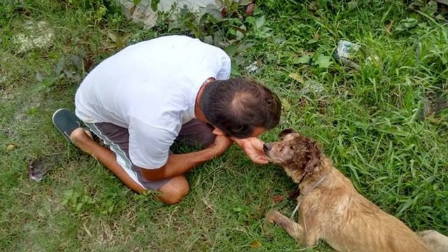 Όταν βρήκε αυτό το σκύλο δεν πίστευε στα μάτια του! Μετά από αγάπη και φροντίδα, ιδού το αποτέλεσμα! - Εικόνα-1