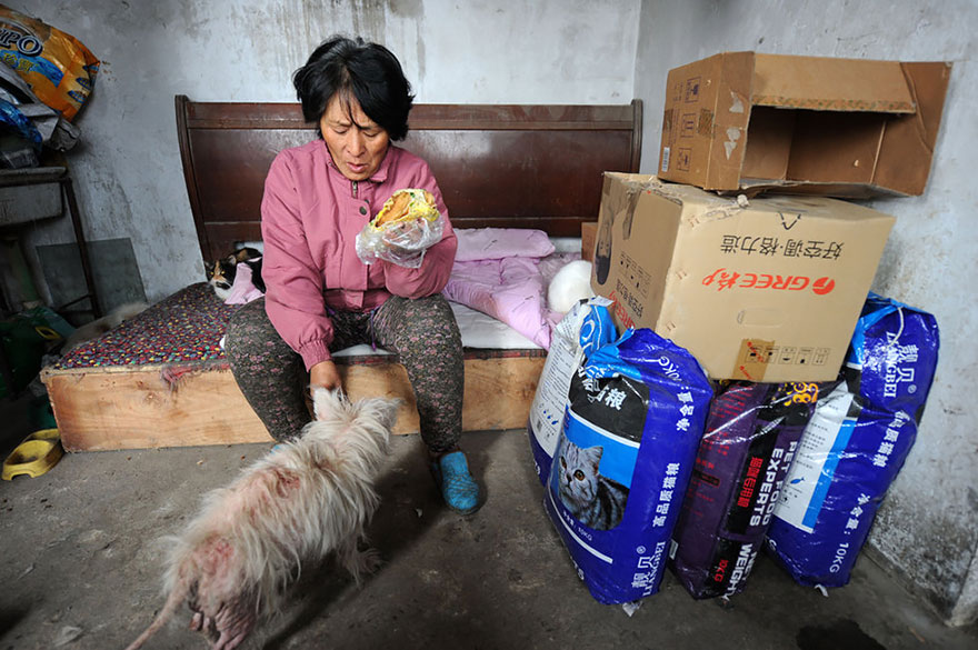 Η συνταξιούχος που αγοράζει σκυλιά για να τα σώσει από το «Φεστιβάλ Σκυλίσιου Κρέατος» της Κίνας! - Εικόνα10