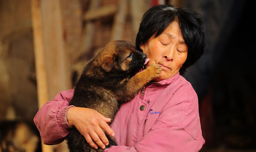 Η συνταξιούχος που αγοράζει σκυλιά για να τα σώσει από το «Φεστιβάλ Σκυλίσιου Κρέατος» της Κίνας! - Εικόνα16