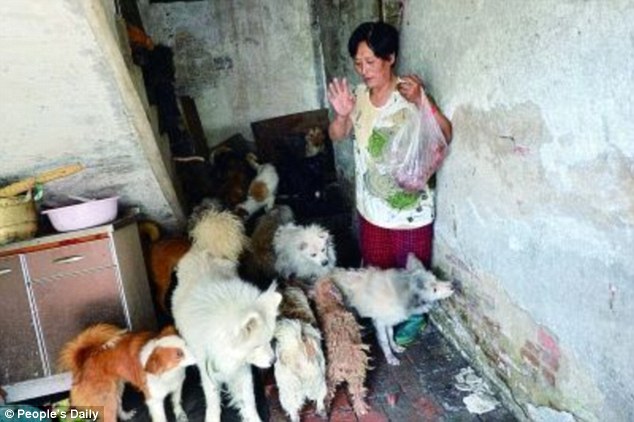 Η συνταξιούχος που αγοράζει σκυλιά για να τα σώσει από το «Φεστιβάλ Σκυλίσιου Κρέατος» της Κίνας! - Εικόνα19
