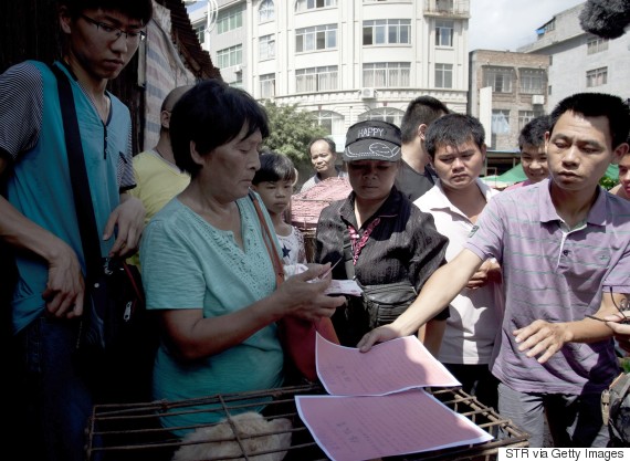Η συνταξιούχος που αγοράζει σκυλιά για να τα σώσει από το «Φεστιβάλ Σκυλίσιου Κρέατος» της Κίνας! - Εικόνα22
