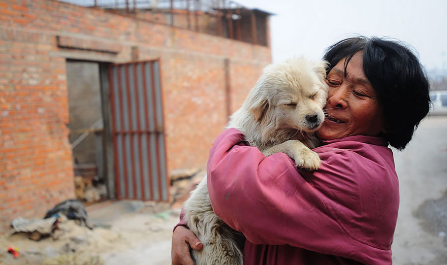 Η συνταξιούχος που αγοράζει σκυλιά για να τα σώσει από το «Φεστιβάλ Σκυλίσιου Κρέατος» της Κίνας! - Εικόνα4