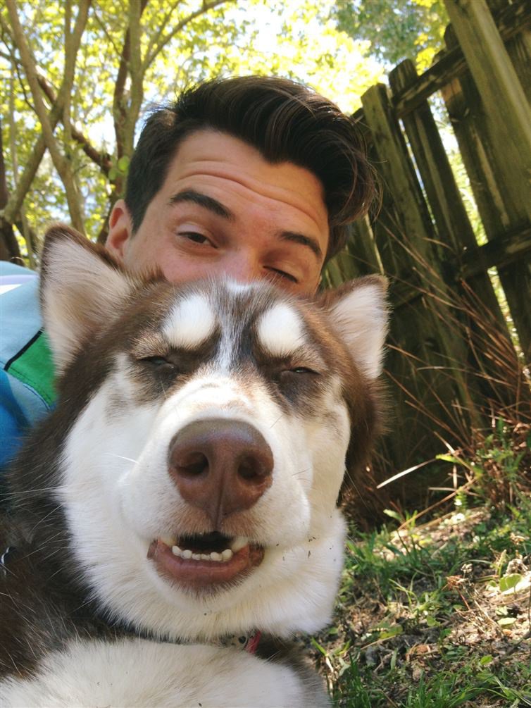 22 σκυλιά που χρειάστηκαν μια μικρή βοήθεια για να τραβήξουν την selfie τους. - Εικόνα11