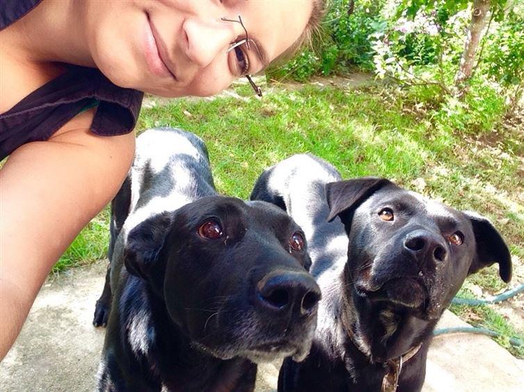 22 σκυλιά που χρειάστηκαν μια μικρή βοήθεια για να τραβήξουν την selfie τους. - Εικόνα5