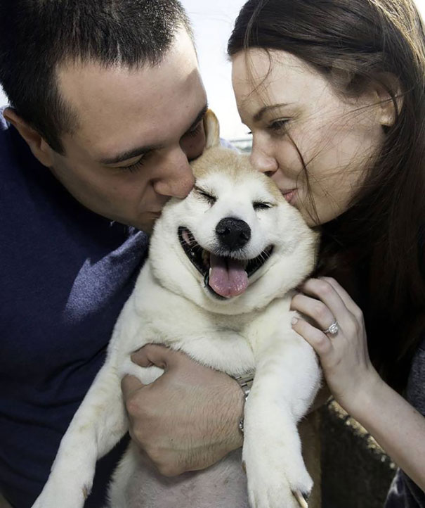 Η σκυλίτσα που δεν σταματάει να χαμογελάει παρόλο την αρρώστια της! - Εικόνα1