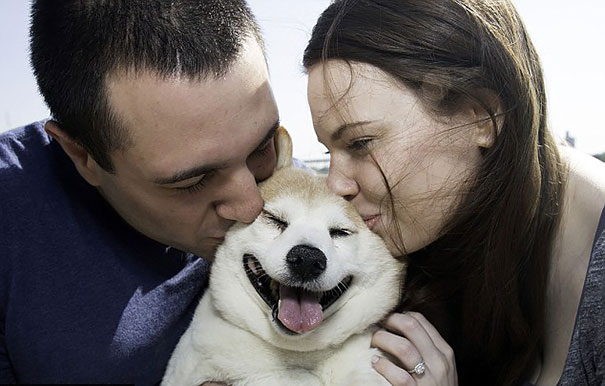 Η σκυλίτσα που δεν σταματάει να χαμογελάει παρόλο την αρρώστια της! - Εικόνα8