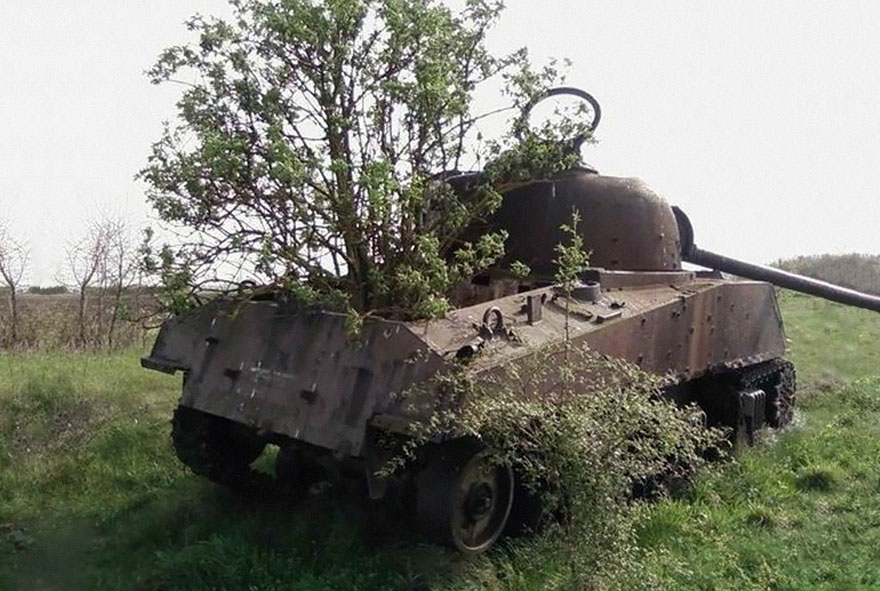 Tanks Swallowed By Nature Look So Peaceful As If The War Never Happened (10+ Pics) - Εικόνα10