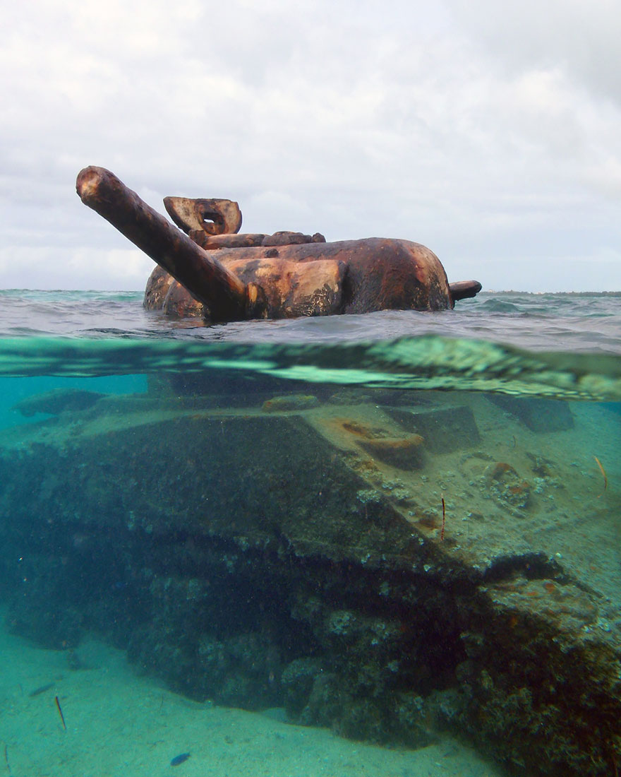 Tanks Swallowed By Nature Look So Peaceful As If The War Never Happened (10+ Pics) - Εικόνα13