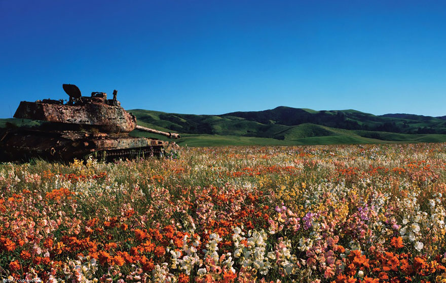 Tanks Swallowed By Nature Look So Peaceful As If The War Never Happened (10+ Pics) - Εικόνα4