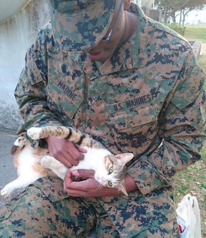 18 χαριτωμένα ζώα που γίνονται φίλοι με στρατιώτες στο εξωτερικό. (Φωτογραφίες) - Εικόνα1