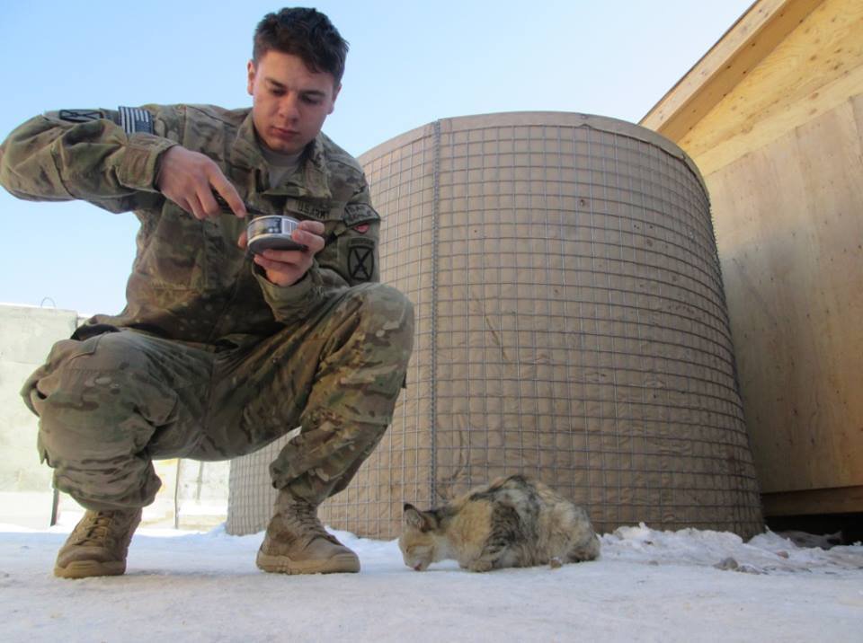 18 χαριτωμένα ζώα που γίνονται φίλοι με στρατιώτες στο εξωτερικό. (Φωτογραφίες) - Εικόνα12