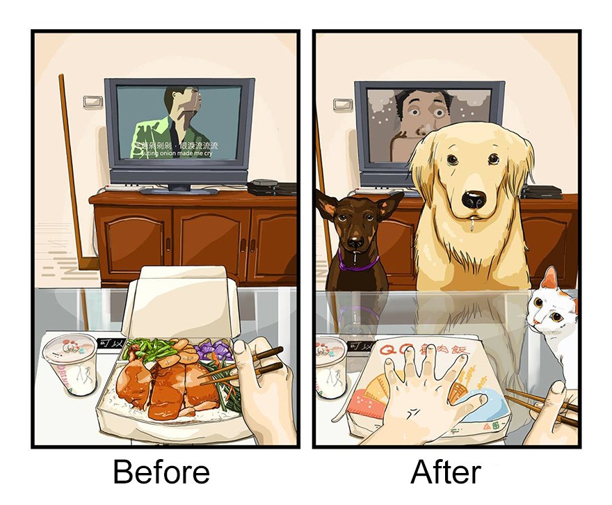 Πώς αλλάζει η ζωή όταν αποκτάς σκύλο - Εικόνα2