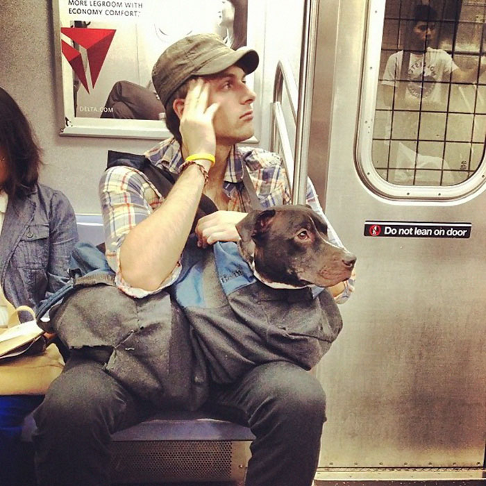 Τα ζώα απαγορεύονται στο μετρό της Νέας Υόρκης αλλά κάποιοι βρήκαν τη λύση - Εικόνα 3