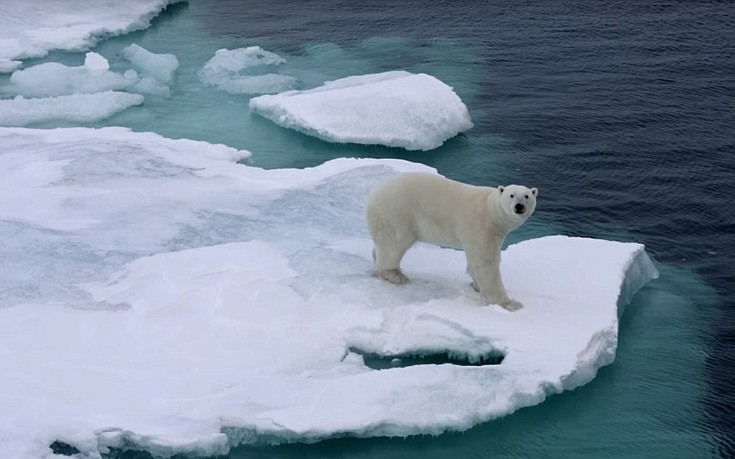 Αρκτική μια απομακρυσμένη ομορφία - Εικόνα 2