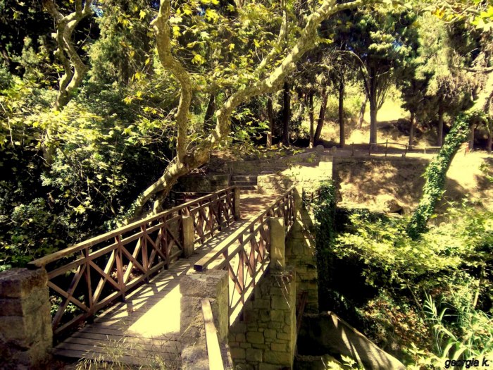 Το αρχαιότερο πάρκο του κόσμου βρίσκεται σε ένα Ελληνικό νησί και μοιάζει με τον.. παράδεισο! - Εικόνα 17