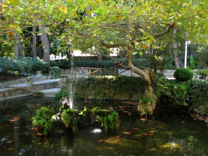 Το αρχαιότερο πάρκο του κόσμου βρίσκεται σε ένα Ελληνικό νησί και μοιάζει με τον.. παράδεισο! - Εικόνα 2