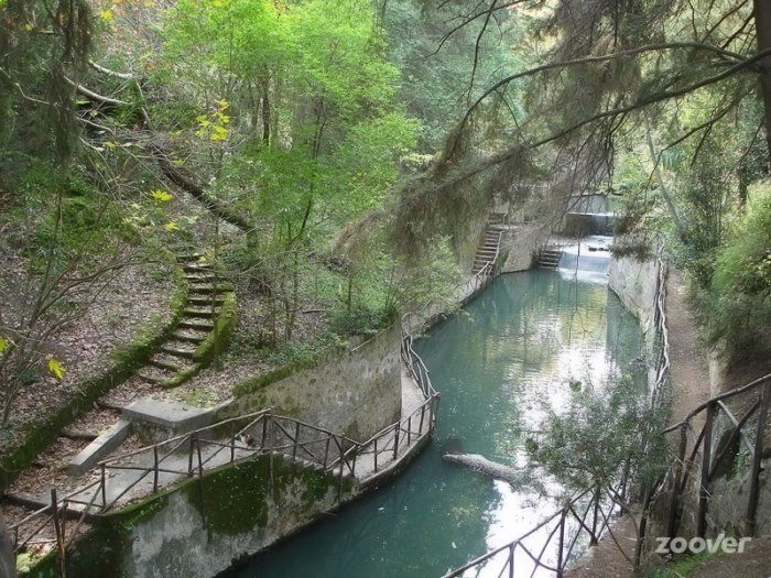 Το αρχαιότερο πάρκο του κόσμου βρίσκεται σε ένα Ελληνικό νησί και μοιάζει με τον.. παράδεισο! - Εικόνα 5