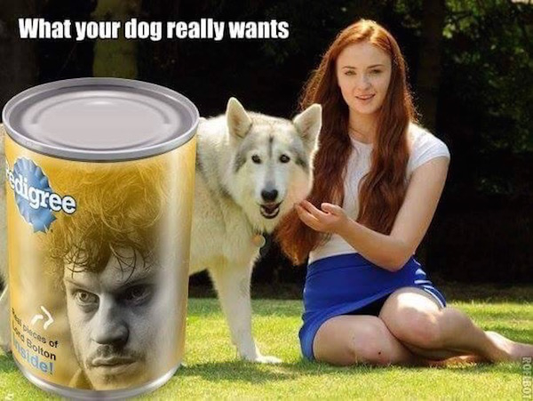 Αστεία meme του Game Of Thrones για πολλά γέλια !!! - Εικόνα 40