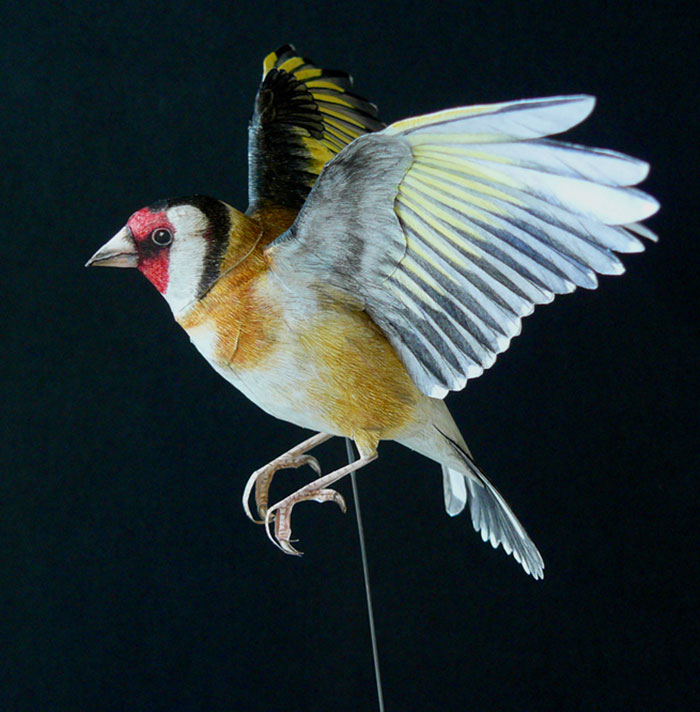 Εντυπωσιακά πουλιά φτιαγμένα απο χαρτί απο τον Johan Scherft - Εικόνα 14