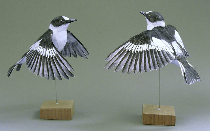 Εντυπωσιακά πουλιά φτιαγμένα απο χαρτί απο τον Johan Scherft - Εικόνα 16