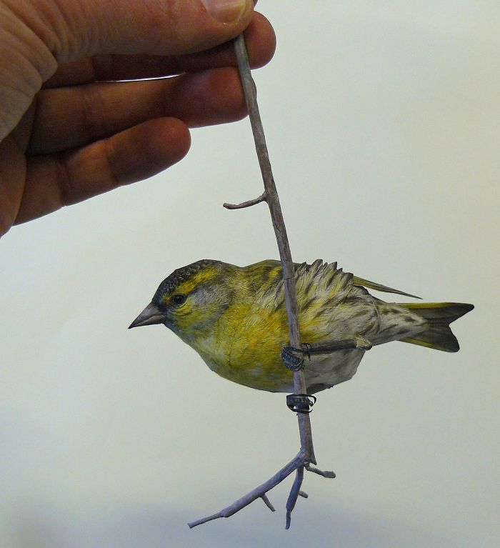 Εντυπωσιακά πουλιά φτιαγμένα απο χαρτί απο τον Johan Scherft - Εικόνα 18