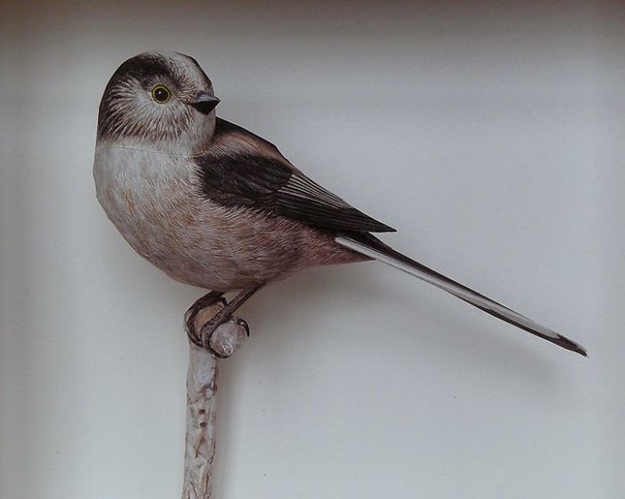 Εντυπωσιακά πουλιά φτιαγμένα απο χαρτί απο τον Johan Scherft - Εικόνα 8