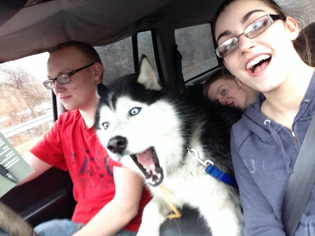 Οι πιο επιτυχημένες σκυλο-selfies που έχουμε δει! - Εικόνα 11