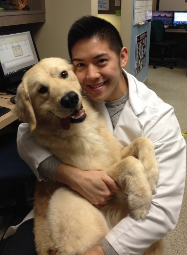 19 φωτογραφίες που αποδεικνύουν ότι ο κτηνίατρος είναι η καλύτερη δουλειά στον κόσμο! - Εικόνα 0