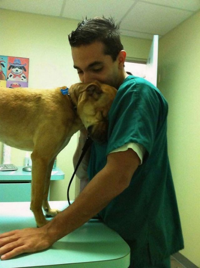 19 φωτογραφίες που αποδεικνύουν ότι ο κτηνίατρος είναι η καλύτερη δουλειά στον κόσμο! - Εικόνα 1