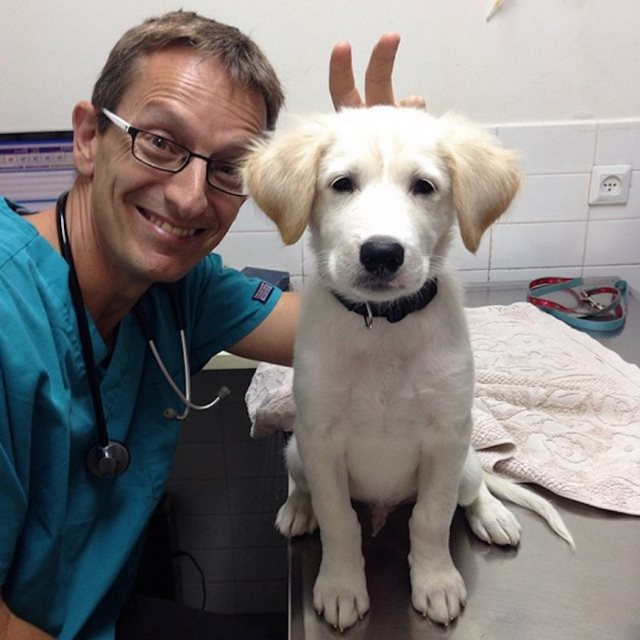 19 φωτογραφίες που αποδεικνύουν ότι ο κτηνίατρος είναι η καλύτερη δουλειά στον κόσμο! - Εικόνα 10