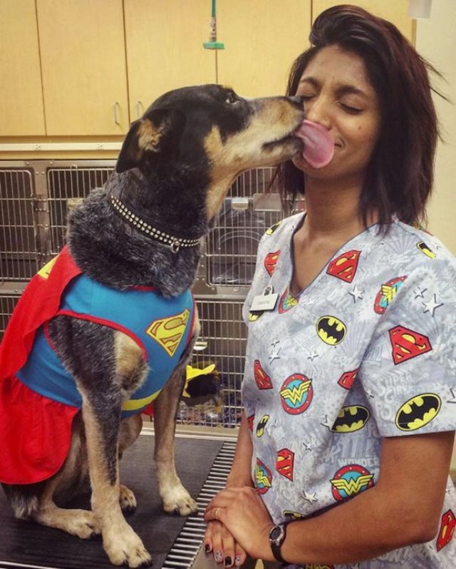 19 φωτογραφίες που αποδεικνύουν ότι ο κτηνίατρος είναι η καλύτερη δουλειά στον κόσμο! - Εικόνα 5