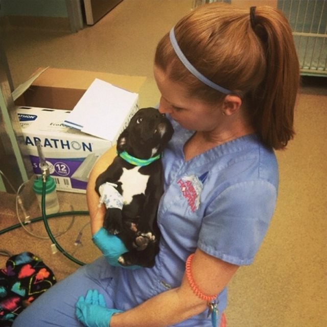 19 φωτογραφίες που αποδεικνύουν ότι ο κτηνίατρος είναι η καλύτερη δουλειά στον κόσμο! - Εικόνα 9