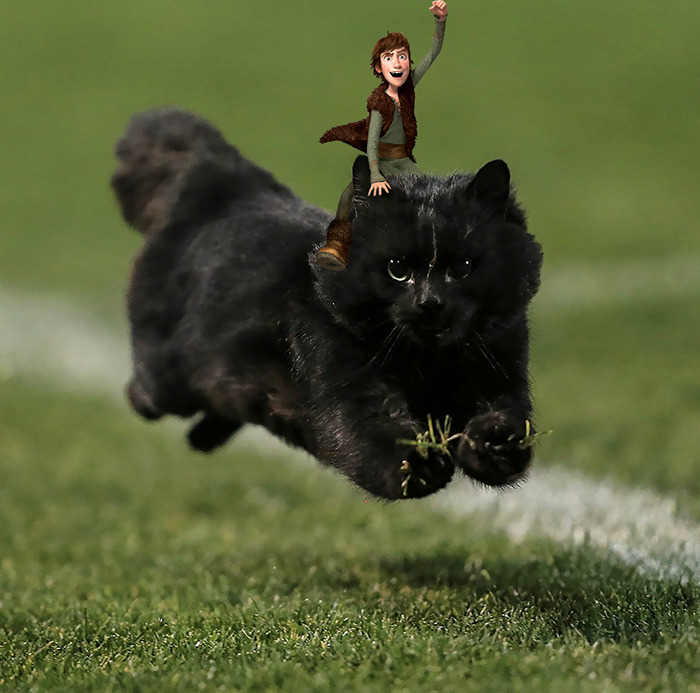 Μια γάτα διακόπτει αγώνα ραγκμπι και το διαδίκτυο αναλαμβάνει... - Εικόνα 12