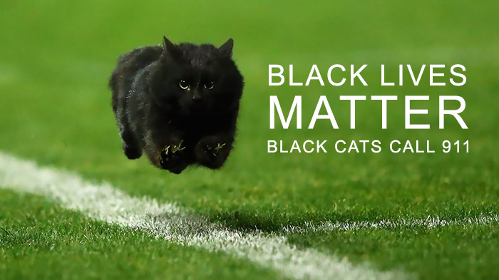 Μια γάτα διακόπτει αγώνα ραγκμπι και το διαδίκτυο αναλαμβάνει... - Εικόνα 35