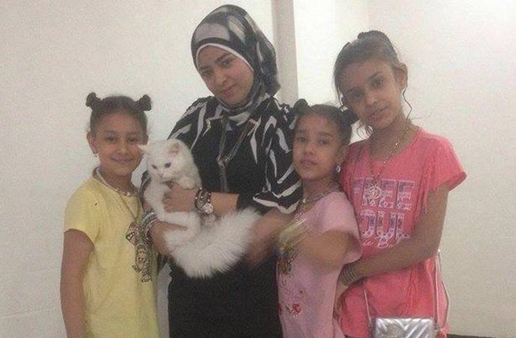 Γάτα-πρόσφυγας ταξίδεψε από το Ιράκ στη Λέσβο και από εκεί στη Νορβηγία για να βρεθεί με την οικογένεια του - Εικόνα 5
