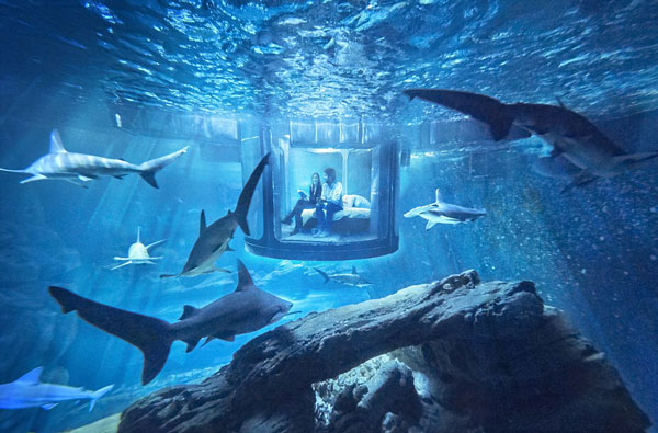 Υποβρύχιο δωμάτιο για διαμονή… δίπλα σε καρχαρίες! - Εικόνα 
