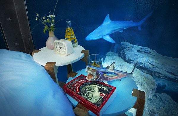 Υποβρύχιο δωμάτιο για διαμονή… δίπλα σε καρχαρίες! - Εικόνα 5