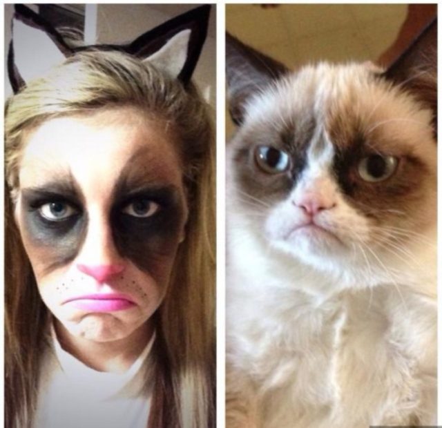 18 Ξεκαρδιστικές φωτογραφίες με μακιγιάζ της θυμωμένης γάτας! - Εικόνα 1