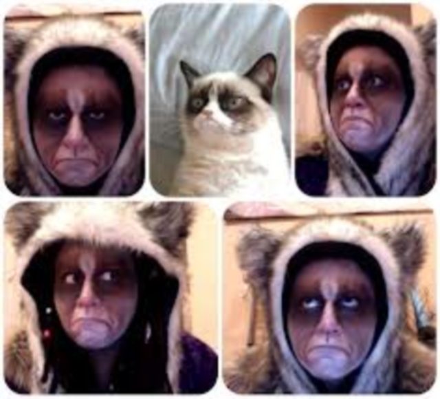 18 Ξεκαρδιστικές φωτογραφίες με μακιγιάζ της θυμωμένης γάτας! - Εικόνα 10