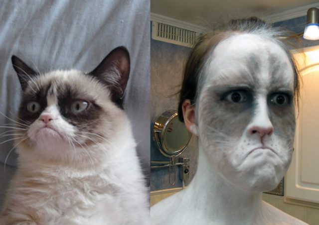 18 Ξεκαρδιστικές φωτογραφίες με μακιγιάζ της θυμωμένης γάτας! - Εικόνα 15