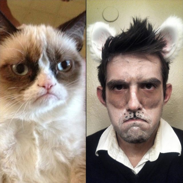 18 Ξεκαρδιστικές φωτογραφίες με μακιγιάζ της θυμωμένης γάτας! - Εικόνα 3