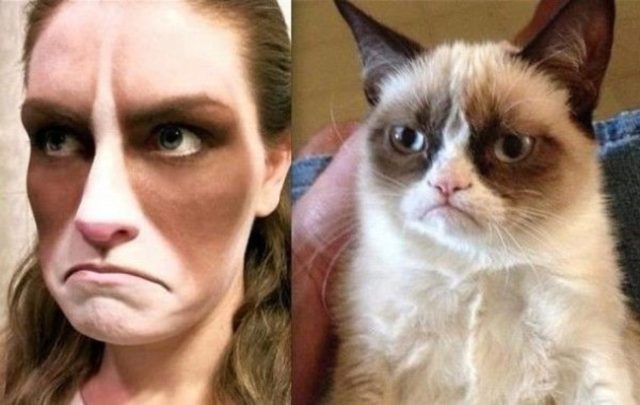 18 Ξεκαρδιστικές φωτογραφίες με μακιγιάζ της θυμωμένης γάτας! - Εικόνα 5