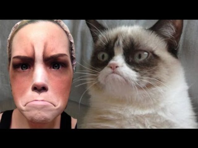 18 Ξεκαρδιστικές φωτογραφίες με μακιγιάζ της θυμωμένης γάτας! - Εικόνα 6