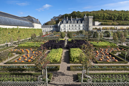 Μεσαιωνικοί Κήποι Λαχανικών στο Κάστρο de Villandry - Εικόνα 