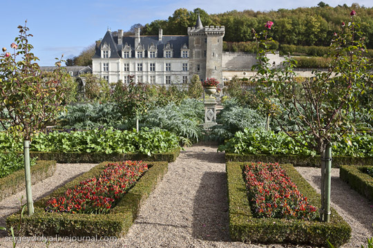 Μεσαιωνικοί Κήποι Λαχανικών στο Κάστρο de Villandry - Εικόνα 10