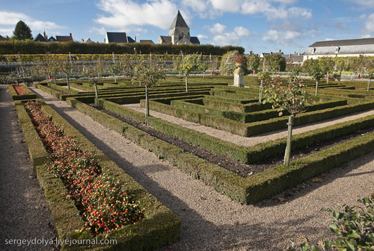 Μεσαιωνικοί Κήποι Λαχανικών στο Κάστρο de Villandry - Εικόνα 11