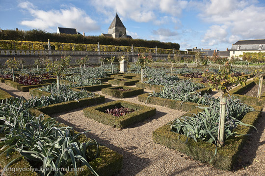 Μεσαιωνικοί Κήποι Λαχανικών στο Κάστρο de Villandry - Εικόνα 12