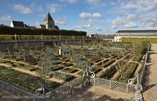 Μεσαιωνικοί Κήποι Λαχανικών στο Κάστρο de Villandry - Εικόνα 13